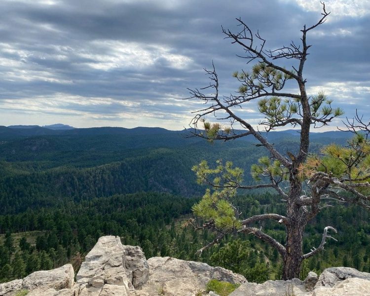 Buzzard Roost Trail Overlook