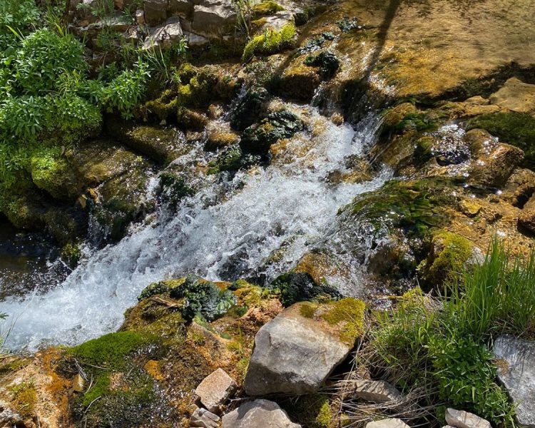iron-creek-trail-spearfish-2-rmowtnx618vv2em8n6wq44rzl5fcrsv30c3tuvhcbs
